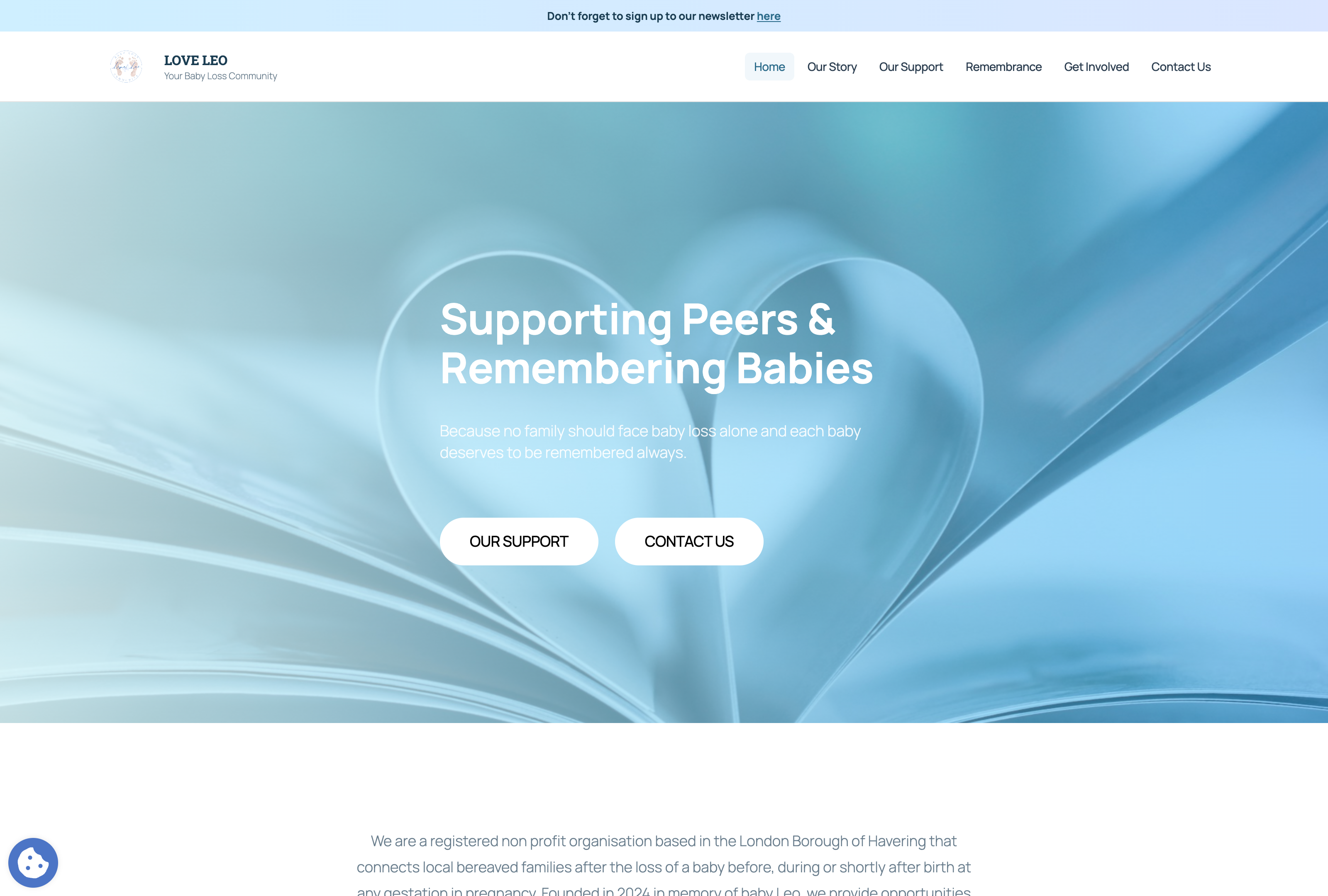 Love Leo homepage